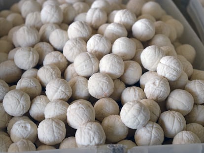 ‘Qurut’ balls at a market in Tashkent, Uzbekistan.