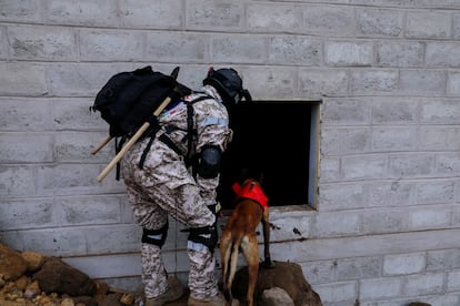 Al menos 13 personas continúan desaparecidas tras el deslave de este domingo. En la imagen, un binomio canino trabaja en la búsqueda de vícitmas tras el deslizamiento de tierra de este domingo en Alausí. 