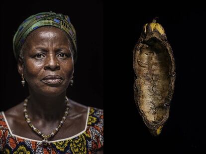 Koko Amenan, de 64 años, con un fruto de cacao (cabosse) vaciado.

