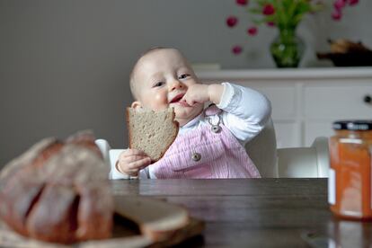 Gluten alimentación complementaria bebés