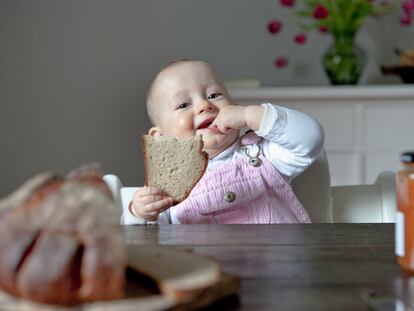 Un bebé de cuatro meses come un trozo de pan.