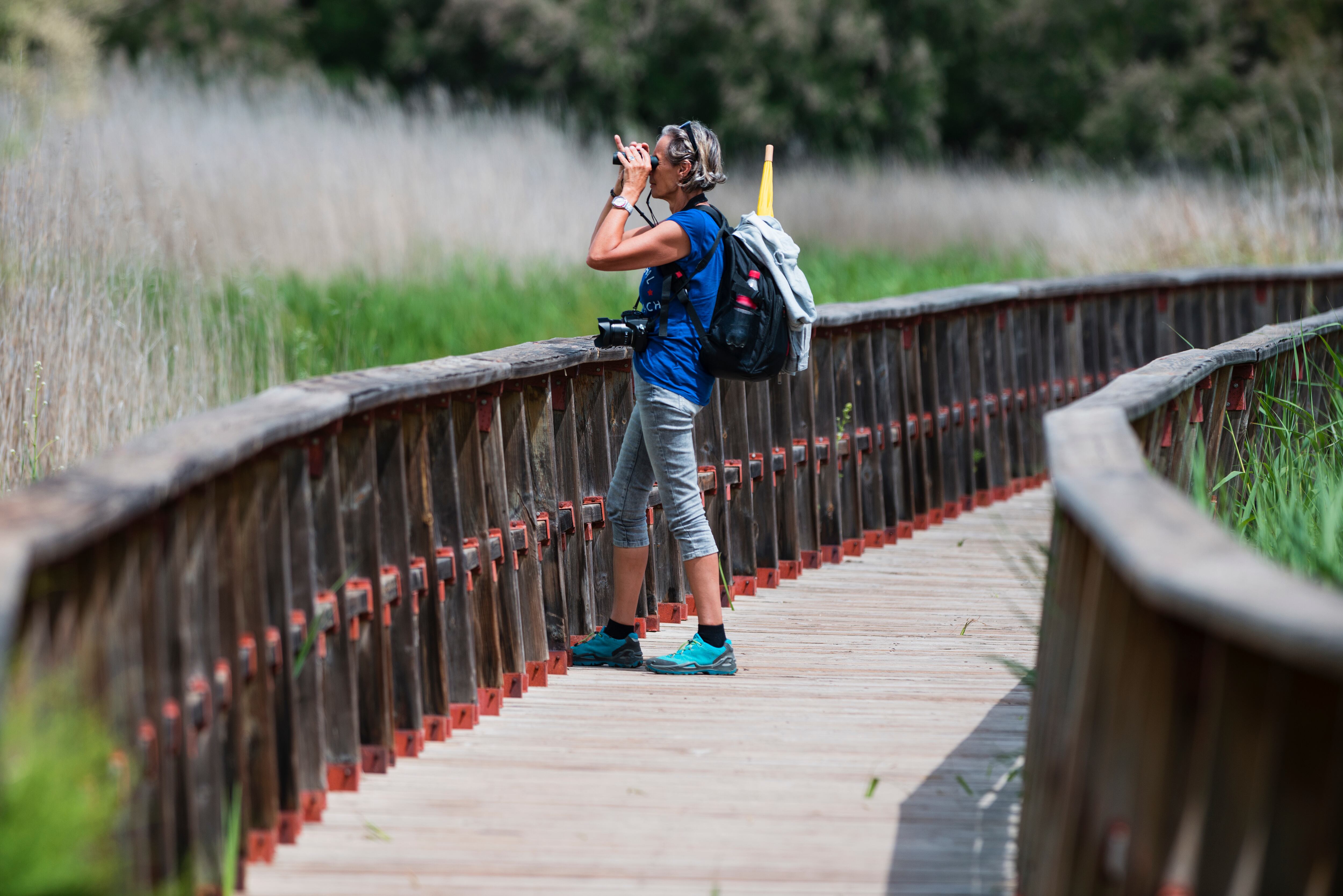 El turismo ornitológico es uno de los atractivos del parque nacional de las Tablas de Daimiel.