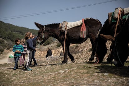 Unos niños acarician a un burro en Robledondo (Madrid).