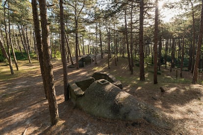 Antiguo búnker alemán en un bosque de la isla de Terschelling (Países Bajos).