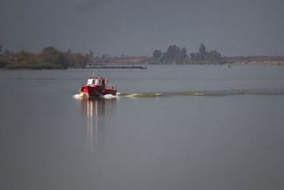 El río Guadalquivir, a su paso por Coria del Río (Sevilla).