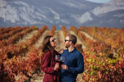 Otoño es la época perfecta para una visita de un fin de semana largo. Conocer las más bellas catedrales del vino es una tentación.