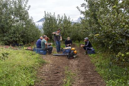 Momento de descanso para los empleados que trabajan en la recogida de la manzana en el caserío Ezeizabarrena de Tolosa (Gipuzkoa).