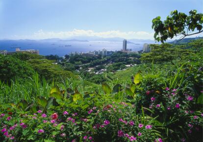 En 1886 se fundó en el pueblo de Pok Fu Lam (en la foto) la Dairy Farm, primera granja láctea de Hong Kong, para proveer de leche fresca a la ciudad. Dio empleo a los habitantes de esta villa hongkonesa, y varias de sus estructuras, incluidos dormitorios y establos, todavía son visibles. La ONG Pok Fu Lam Village (wmf.org) organiza circuitos por la zona en cantonés así que se necesita intérprete. Hay que reservar plaza con un mes de antelación en su página de Facebook.