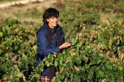 La enóloga Marisa Velilla, de 52 años, consultora, experta en marketing y comunicación del vino y brand manager del Master of Wine Tim Atkin.