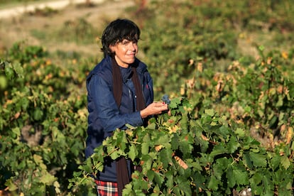 La enóloga Marisa Velilla, de 52 años, consultora, experta en marketing y comunicación del vino y brand manager del Master of Wine Tim Atkin.