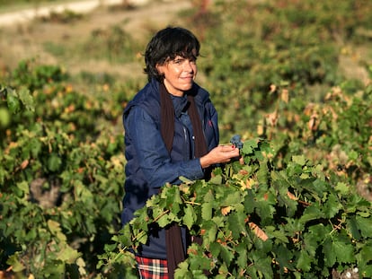 La enóloga Marisa Velilla, de 52 años, consultora, experta en marketing y comunicación del vino y brand manager del Master of Wine Tim Atkin.