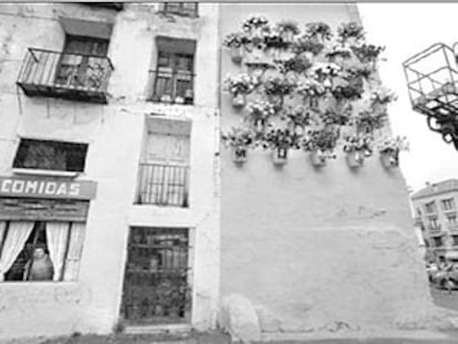 Flores para los solares de la Bienal de Valencia