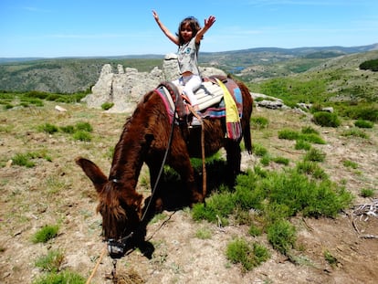 Una niña monta uno de los burros de Casi.