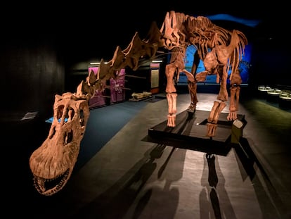 El titanosaurio patagón que se verá en CosmoCaixa.