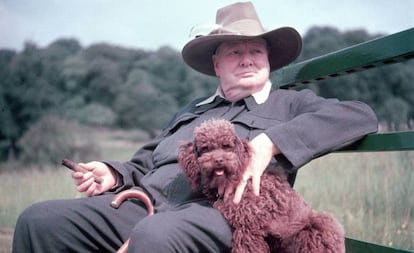 Winston Churchill en su finca de Chartwell (condado de Kent, Inglaterra) en 1950. 