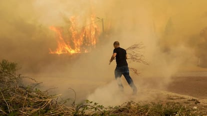 Incêndio em Portugal no domingo.