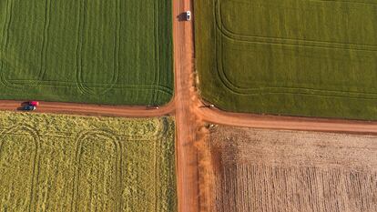 Calles de tierra que atraviesan cultivos extensivos de trigo en los alrededores del casco urbano del municipio de Raúl Peña, en el departamento de Alto Paraná (Paraguay).