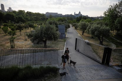 Una pareja pasea con su perro por la Casa de Campo de Madrid.