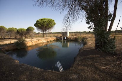 Una balsa ilegal de agua entre los municipios de Lucena del Puerto y Moguer, en el entorno de Doñana.