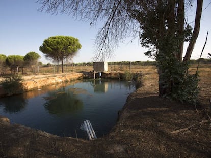 Una balsa ilegal de agua entre los municipios de Lucena del Puerto y Moguer, en el entorno de Doñana.