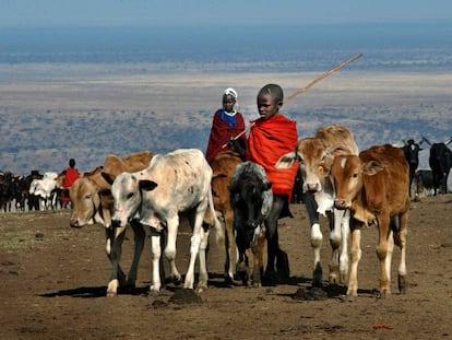 O avanço humano irá extinguir os grandes mamíferos da África.