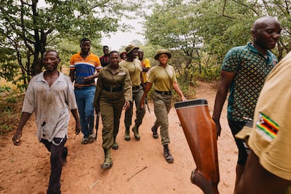 Los guardas forestales de Akashinga y los habitantes de la zona intentan localizar a los elefantes que han causado daños en los cultivos listos cerca de Sinamwenda.