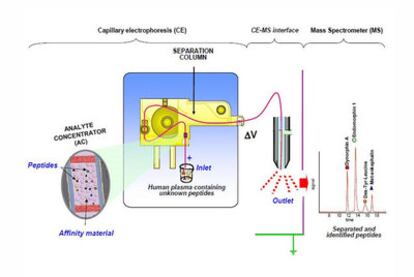 Schematic representation of the experimental set-up used in this work.