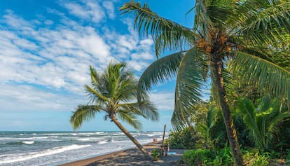 Tortuguero beach in Costa Rica.