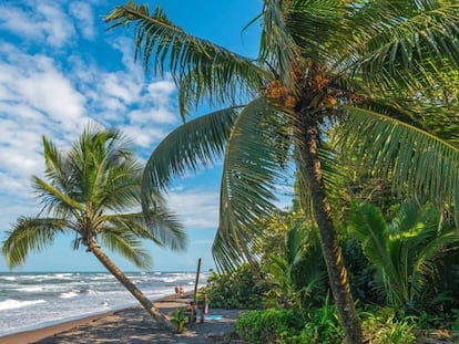 Tortuguero beach in Costa Rica.