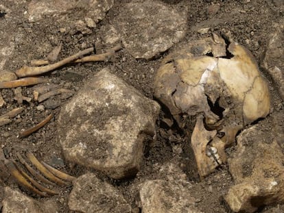 The 4,900-year-old remains of a child found at Atapuerca, Burgos.