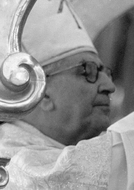 Trebujena (Cádiz) El obispo de la diocesis de Jerez,Rafael Bellido Caro,durante la coronacion de la imagen de Nuestra Señora de Palomares.EFE/MOVELLAN