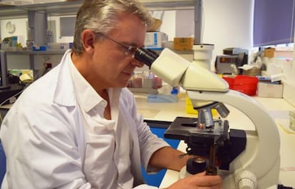 Juan Cuadros, médico y microbiólogo en el Hospital Universitario Príncipe de Asturias.