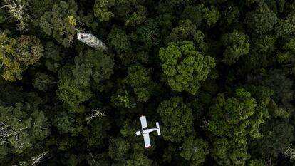 Una avioneta hacía un vuelo a baja altitud para recoger muestras de aire cerca de una torre de observación en el Bosque Nacional de Tapajós, en el Estado de Pará, Brasil, el 6 de mayo de 2023.