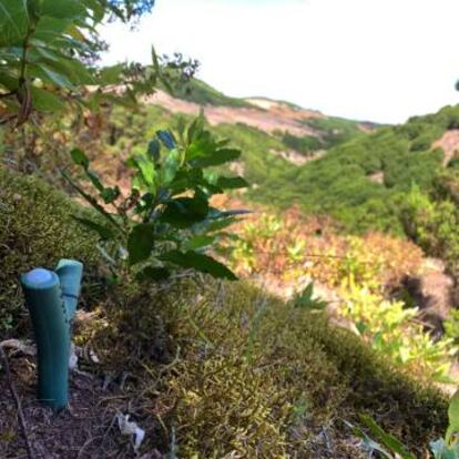 Un sensor en el suelo de Canarias (España).