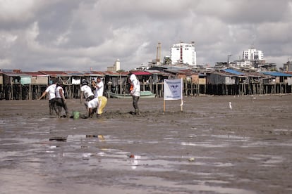 Varias personas participan de una de las jornadas de búsqueda de los restos de desaparecidos en Buenaventura (Valle del Cauca).