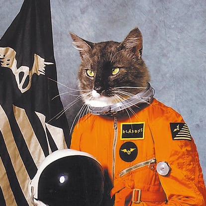 KLAXONS Queríamos algo que pudiera convertirse en una imagen icónica, que destacara como esos viejos anuncios de Wonderbra, que provocaban accidentes de tráfico". Así explicaba Jaime Reynolds las razones para colocar a Spacecat, el gato que fue la mascota de la banda durante la grabación de su segundo disco, vestido de astronauta