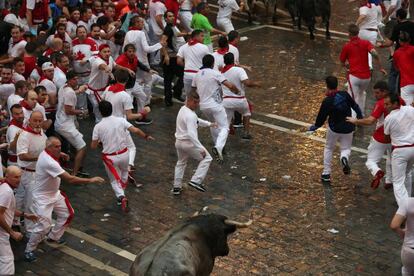 Toros de la ganadería de José Escolar Gil durante su recorrido por las calles de Pamplona.