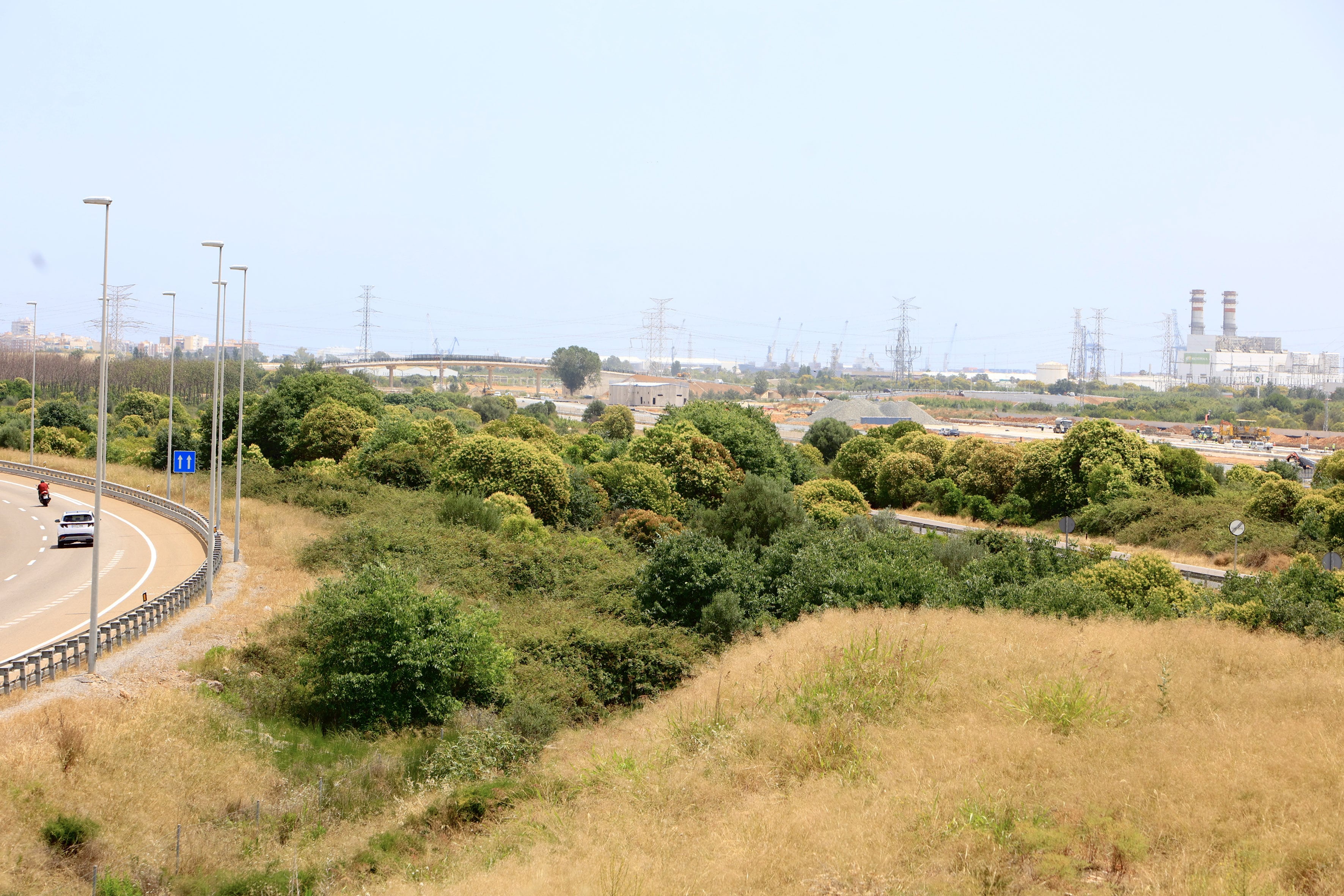Land in the Serrallo industrial estate where the construction of an ammonia plant produced with renewable energy is planned.