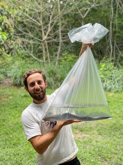 Gabriel Jorgewich-Cohen sostiene un pez pulmonado sudamericano para grabarlo en el Instituto de Investigación del Amazonas (Brasil).