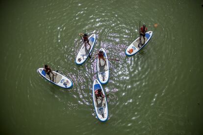 Varios jóvenes practican paddle surf en el río Guadalquivir, en Sevilla, para combatir la ola de calor.