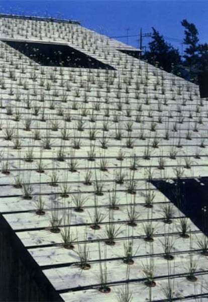 Casa Nira (1997). El tejado es un campo para el cultivo de cereales.