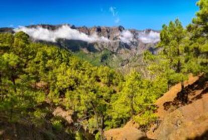 Caldera de Taburiente.