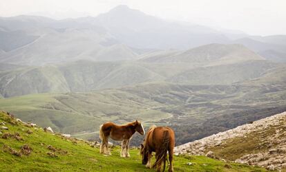 Vistas hacia la Selva de Irati desde el pico Urkulu, en Navarra.