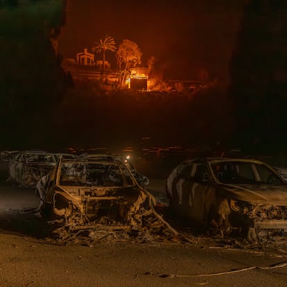 08/01/25. Incendio en Pacific Palisades, Santa Mnica (Los ?ngeles-California).  Carlos Rosillo.