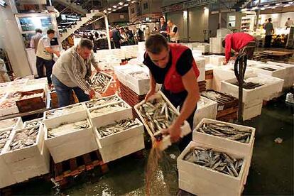 Los comerciantes de pescado de Mercamadrid preparan la mercancía para la venta a las 6.30.