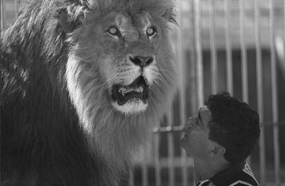 Intentó lanzarse a las jaulas a los 17 años, cuando el domador que trabajaba para su padre tuvo que ausentarse urgentemente y le pidió que le reemplazara. A espaldas de su padre ensayó el número con los leones, pero no llegó a actuar por culpa de un vendaval, que se llevó la carpa del circo. Finalmente ebutó como domador en 1966, el mismo día de su cumpleaños. Cuatro años después se convirtió en empresario al adquirir un pequeño circo que con el tiempo se transformó en el famoso Circo Ruso, que llegó a tener más de 300 personas trabajando bajo su dirección y que supuso un renacer del espectáculo en España antes de que se inventara el Circo del Sol.