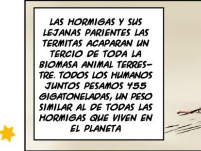 Ramón