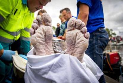 Los pies del nadador, tras abandonar la prueba.