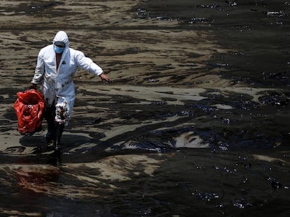 Un trabajador camina en la playa peruana de Ventanilla tras un derrame de petróleo causado por olas anormales, provocadas por la erupción del volcán Hunga Tonga-Hunga Ha'apai.