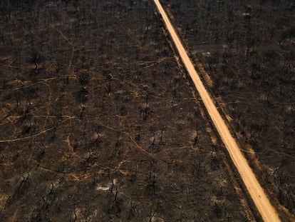 Vista aérea tomada el viernes de una zona quemada por las llamas junto a una carretera en Cubo de Benavente (Zamora).
